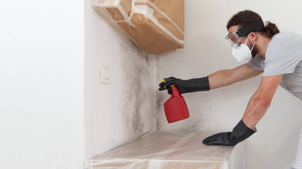 Professional Crawl Space Mold Removal technician working in Dorchester, MA